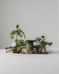Load image into Gallery viewer, trail hike | wooden wick