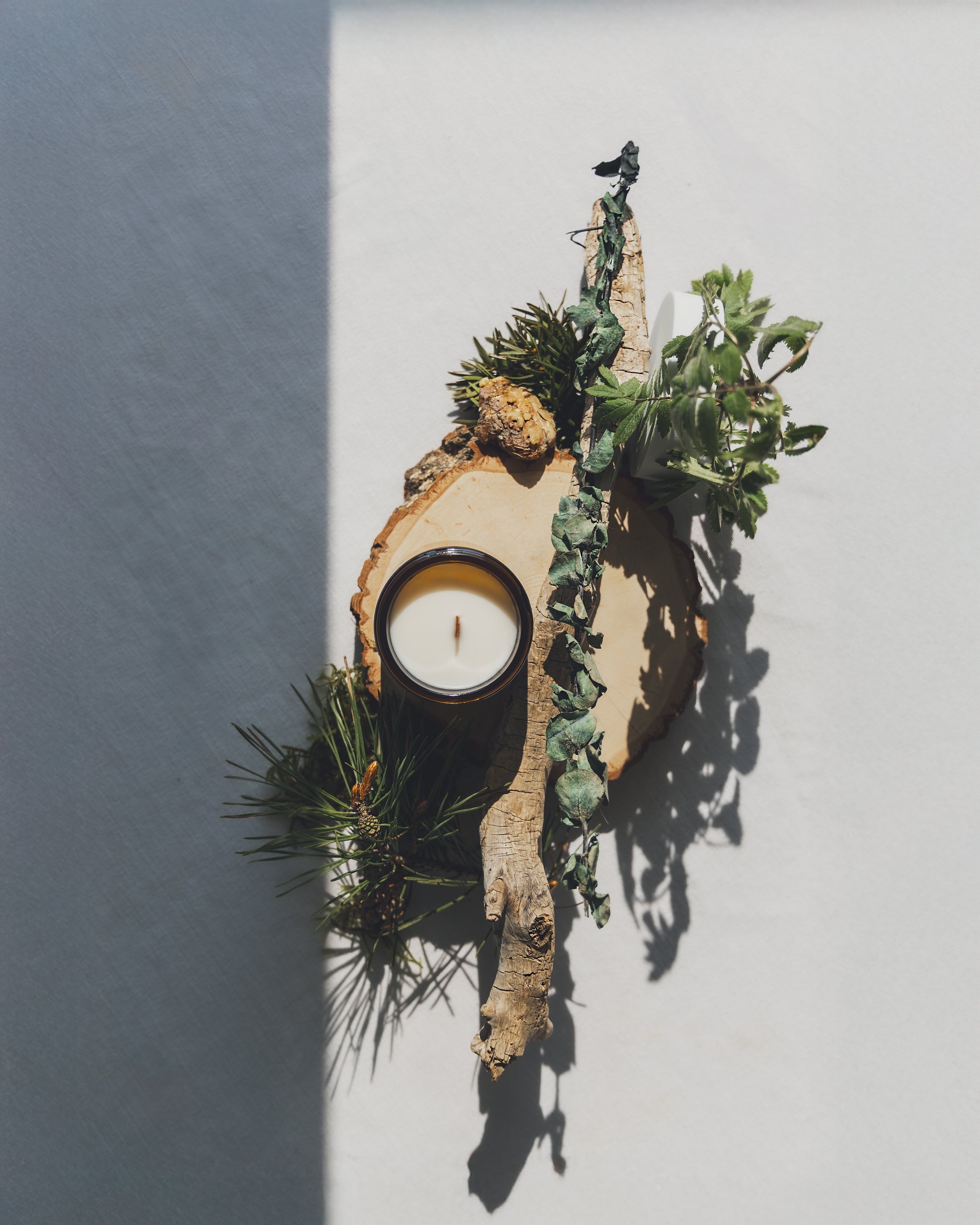 trail hike | wooden wick