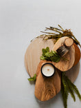 Load image into Gallery viewer, moss & mint | wooden wick
