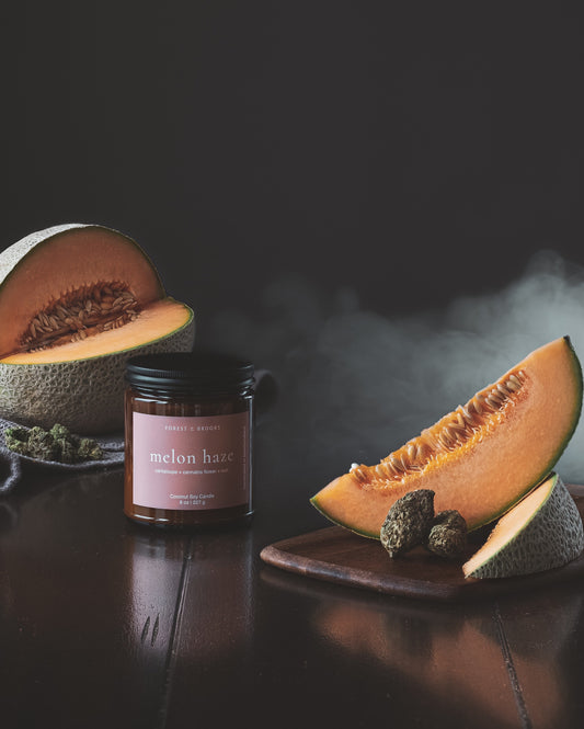 melon haze | wooden wick